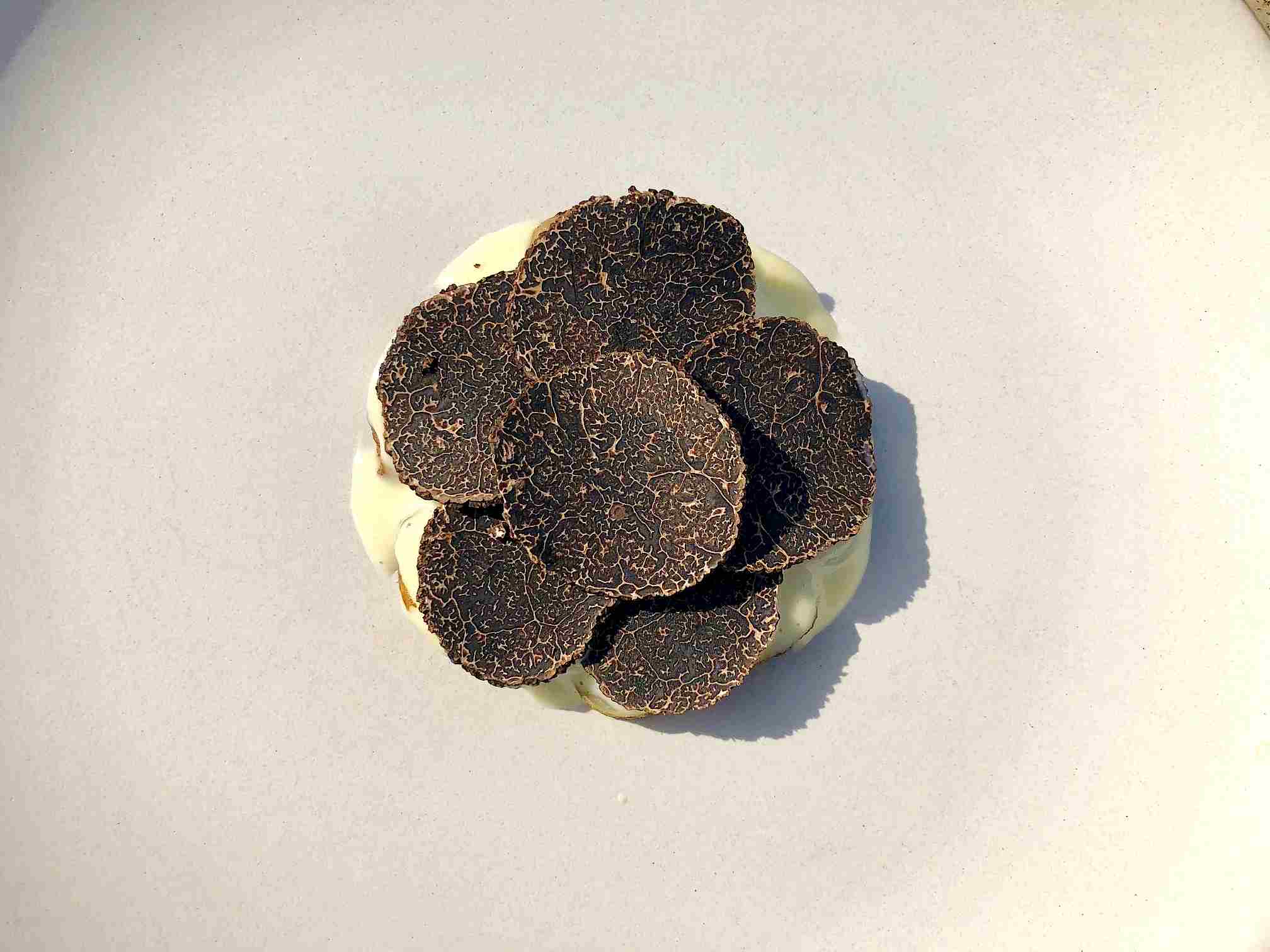jerusalem artichoke with black truffle